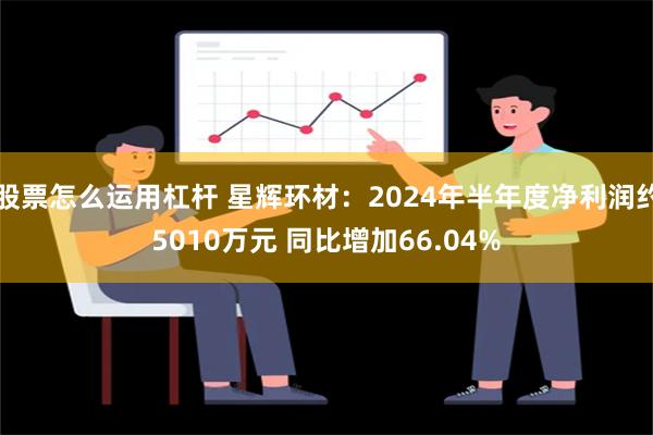 股票怎么运用杠杆 星辉环材：2024年半年度净利润约5010