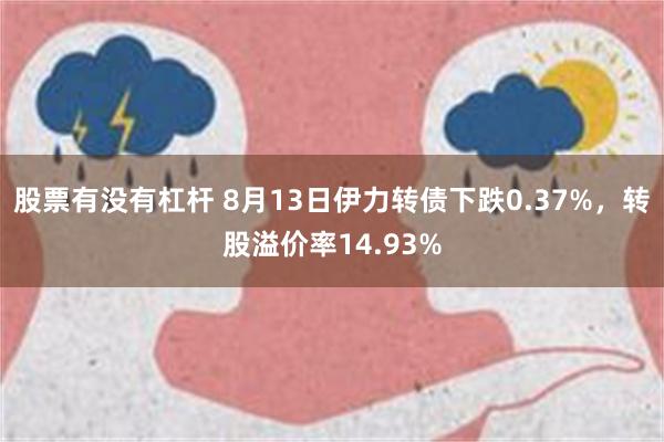 股票有没有杠杆 8月13日伊力转债下跌0.37%，转股溢价率14.93%