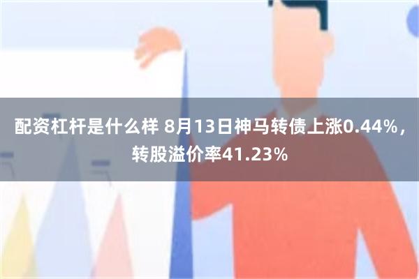 配资杠杆是什么样 8月13日神马转债上涨0.44%，转股溢价率41.23%