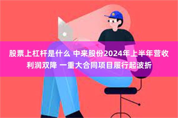 股票上杠杆是什么 中来股份2024年上半年营收利润双降 一重大合同项目履行起波折