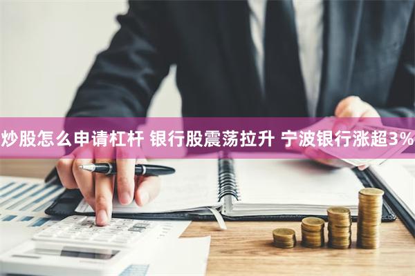 炒股怎么申请杠杆 银行股震荡拉升 宁波银行涨超3%