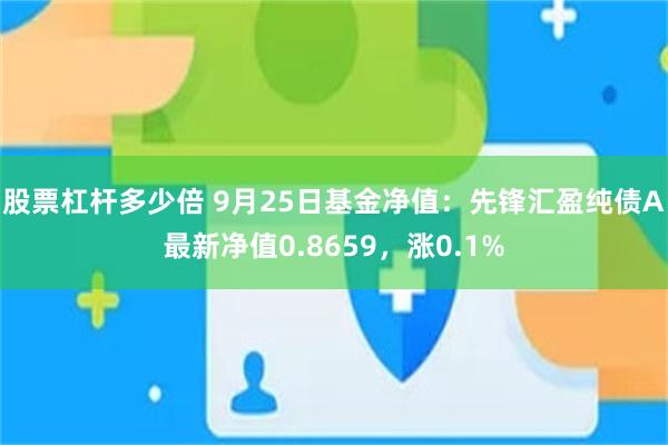 股票杠杆多少倍 9月25日基金净值：先锋汇盈纯债A最新净值0