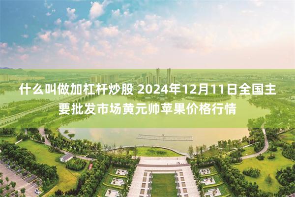 什么叫做加杠杆炒股 2024年12月11日全国主要批发市场黄元帅苹果价格行情