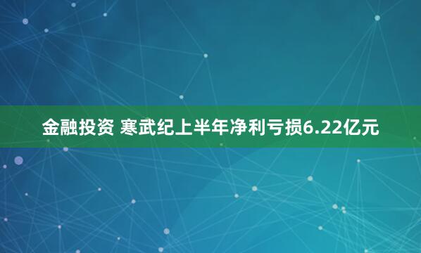 金融投资 寒武纪上半年净利亏损6.22亿元