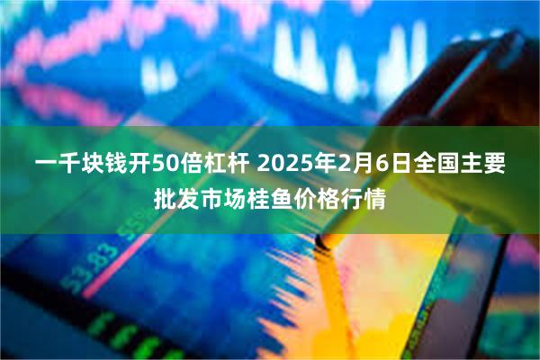 一千块钱开50倍杠杆 2025年2月6日全国主要批发市场桂鱼价格行情