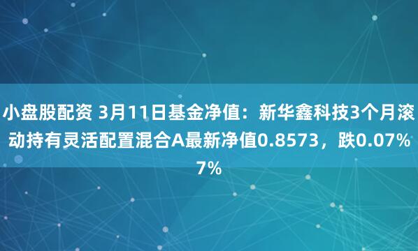 小盘股配资 3月11日基金净值：新华鑫科技3个月滚动持有灵活配置混合A最新净值0.8573，跌0.07%