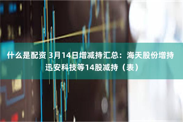 什么是配资 3月14日增减持汇总：海天股份增持 迅安科技等14股减持（表）